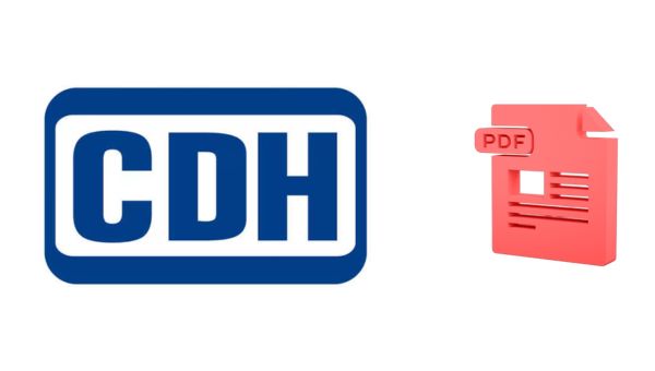 PDF Icon